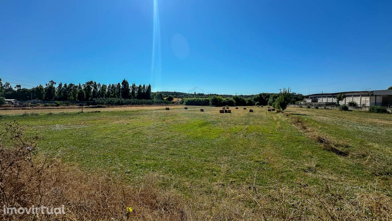 Terreno com 19.640 m² em Alcanena – Oportunidade! - Grande imagem: 5/11