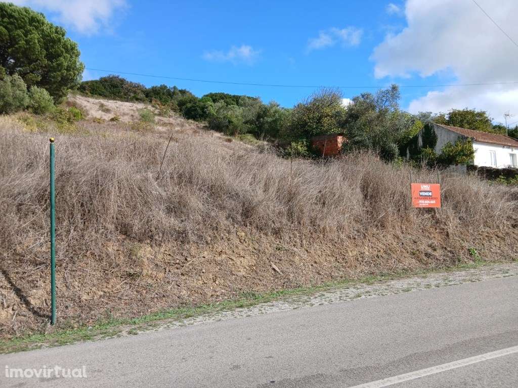 Terreno Rústico de 3160 m² em Alcobela de Baixo - Grande imagem: 5/12