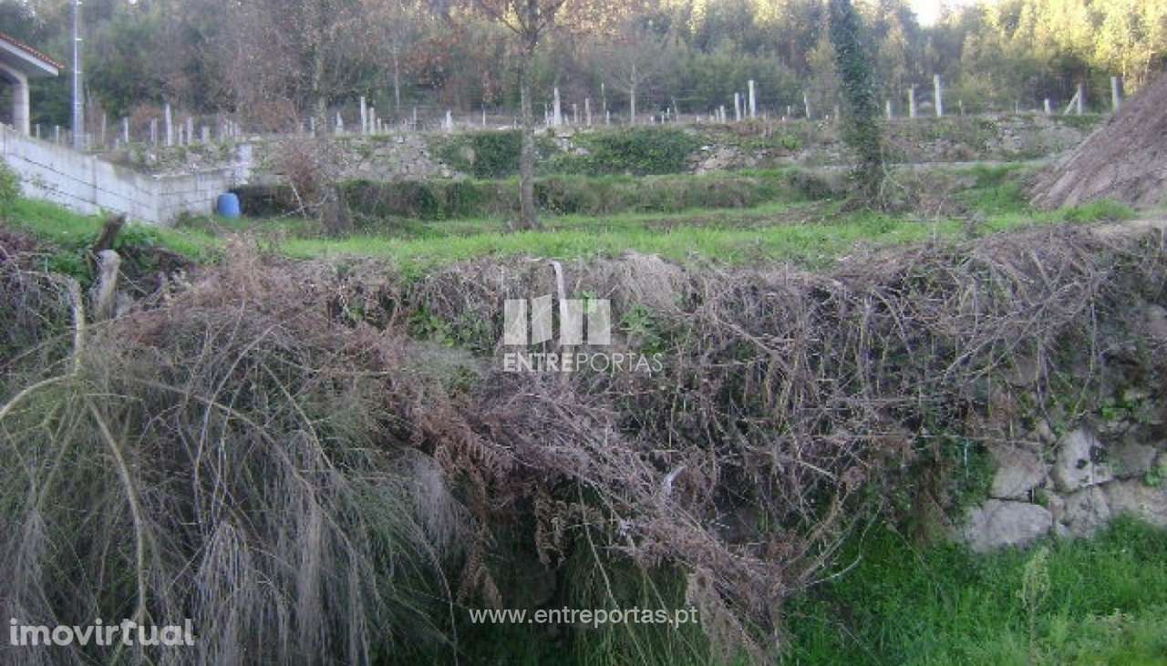 Venda Terreno, Maureles, Marco de Canaveses - Grande imagem: 3/5