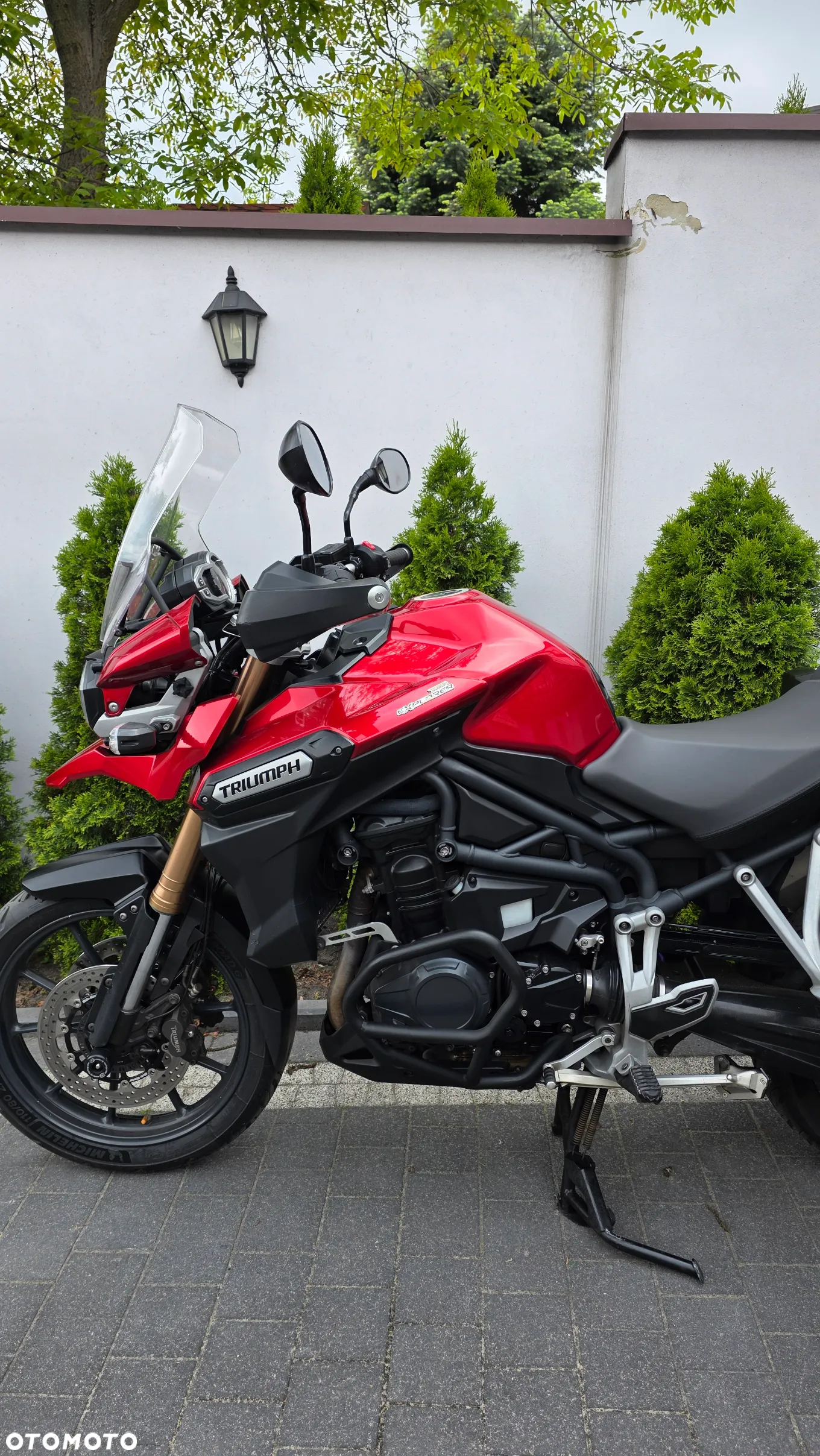 Triumph Tiger - 6