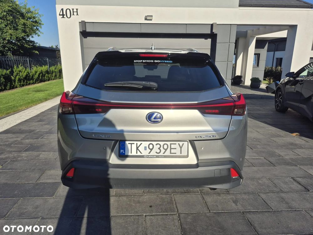Lexus UX 250h GPF Business Edition 2WD - 7