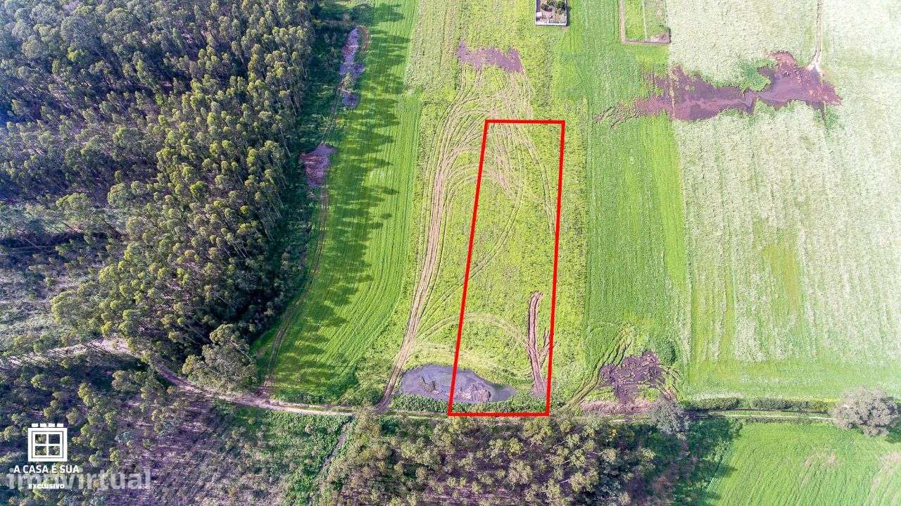 Terreno para cultivo em S. Vicente de Pereira Jusã - Exclusivo - Grande imagem: 2/12