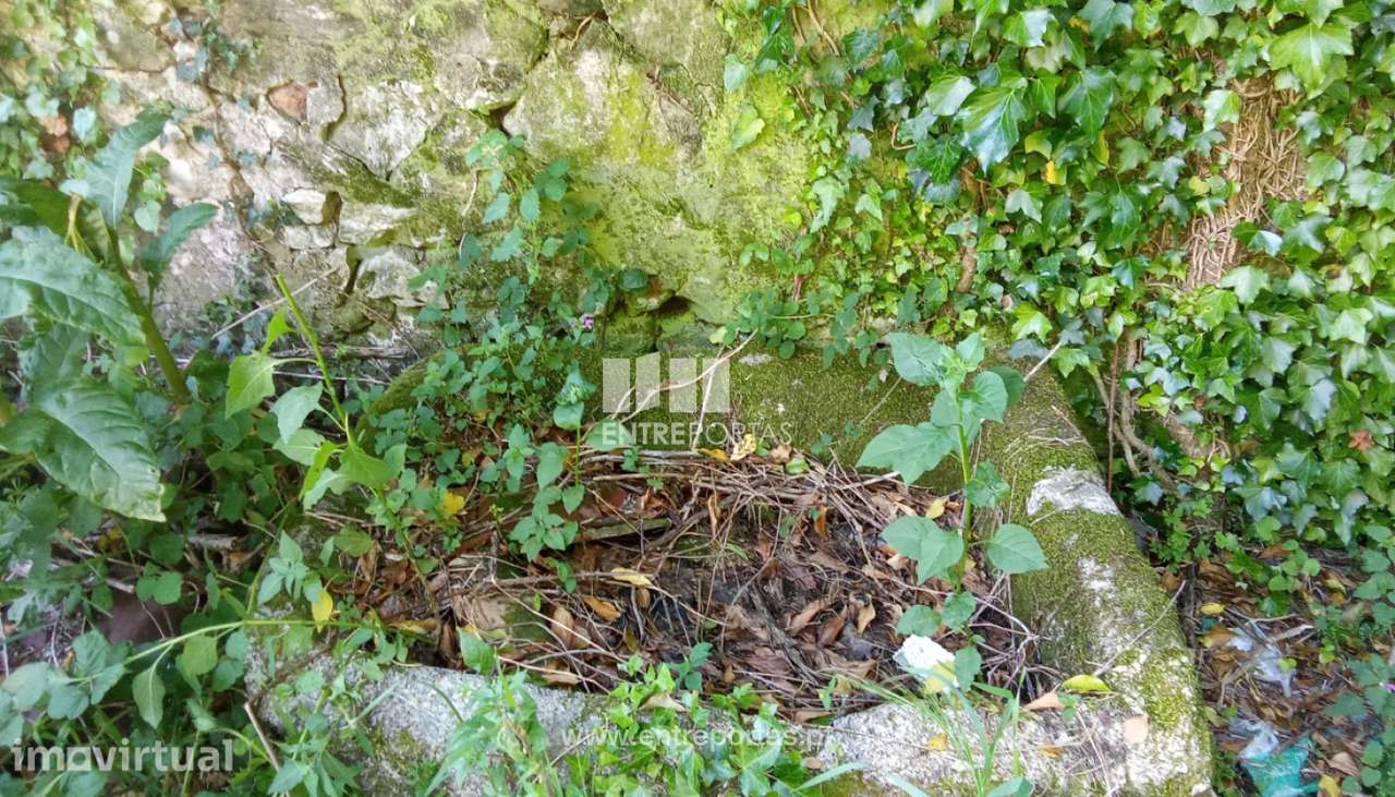 Terreno com ruína em pedra para venda, Dem, Caminha - Grande imagem: 2/23