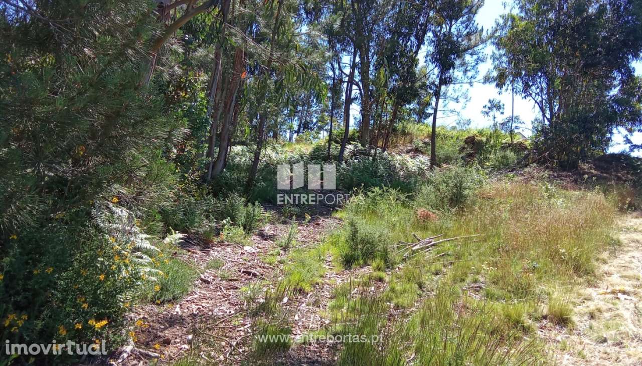 Terreno para venda, Gondarém, Vila Nova de Cerveira - Grande imagem: 3/15
