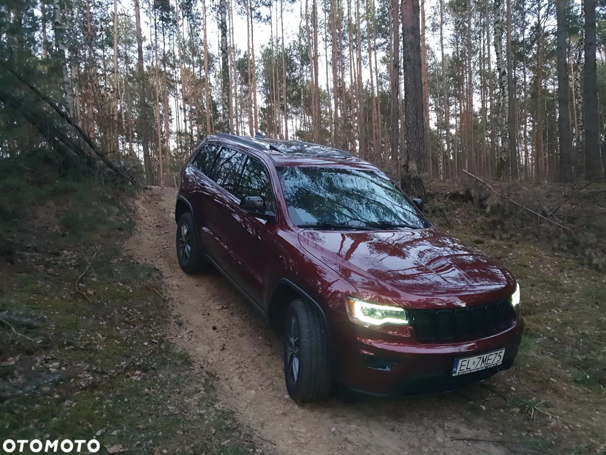 Jeep Grand Cherokee 3.6 V6 Limited