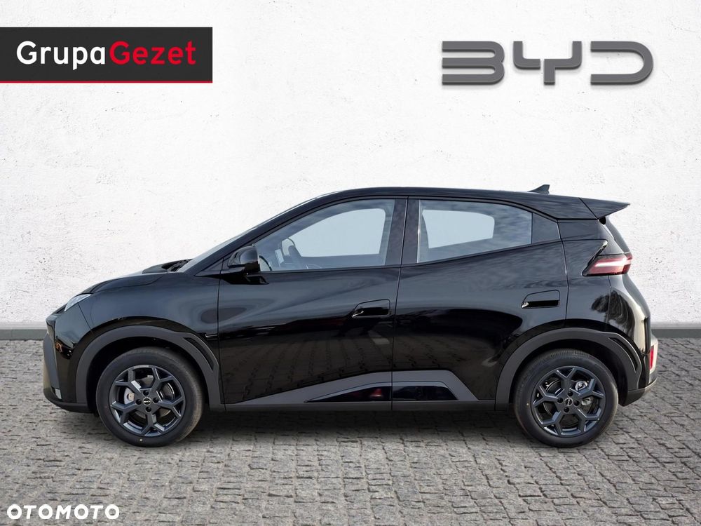 BYD Dolphin Surf - 2