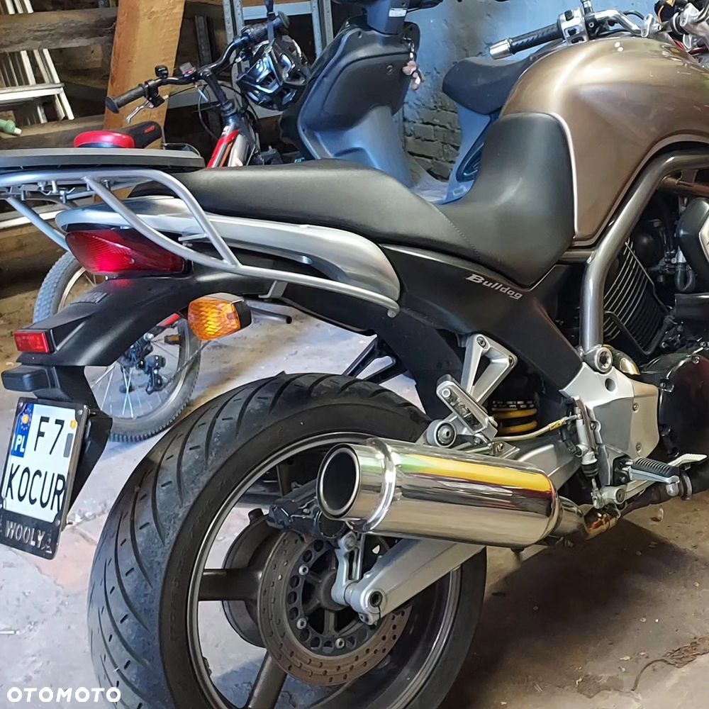 Yamaha Bulldog - 6