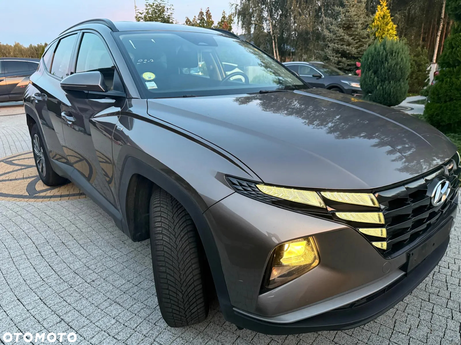 Hyundai Tucson 1.6 CRDi 48V-Hybrid 2WD DCT Trend - 3