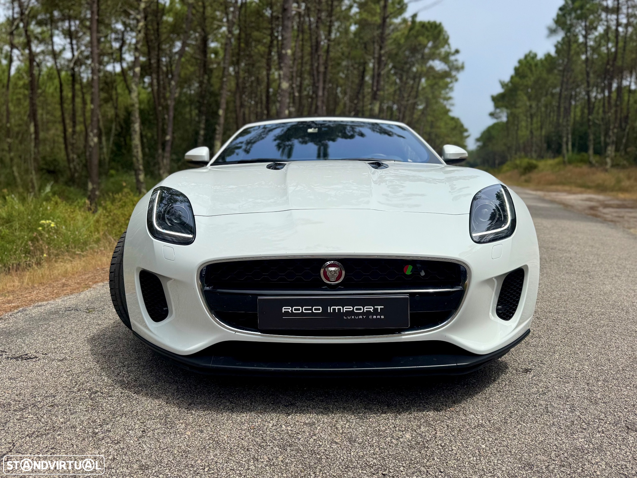 Jaguar F-Type Cabriolet P300 Aut. First Edition - 17