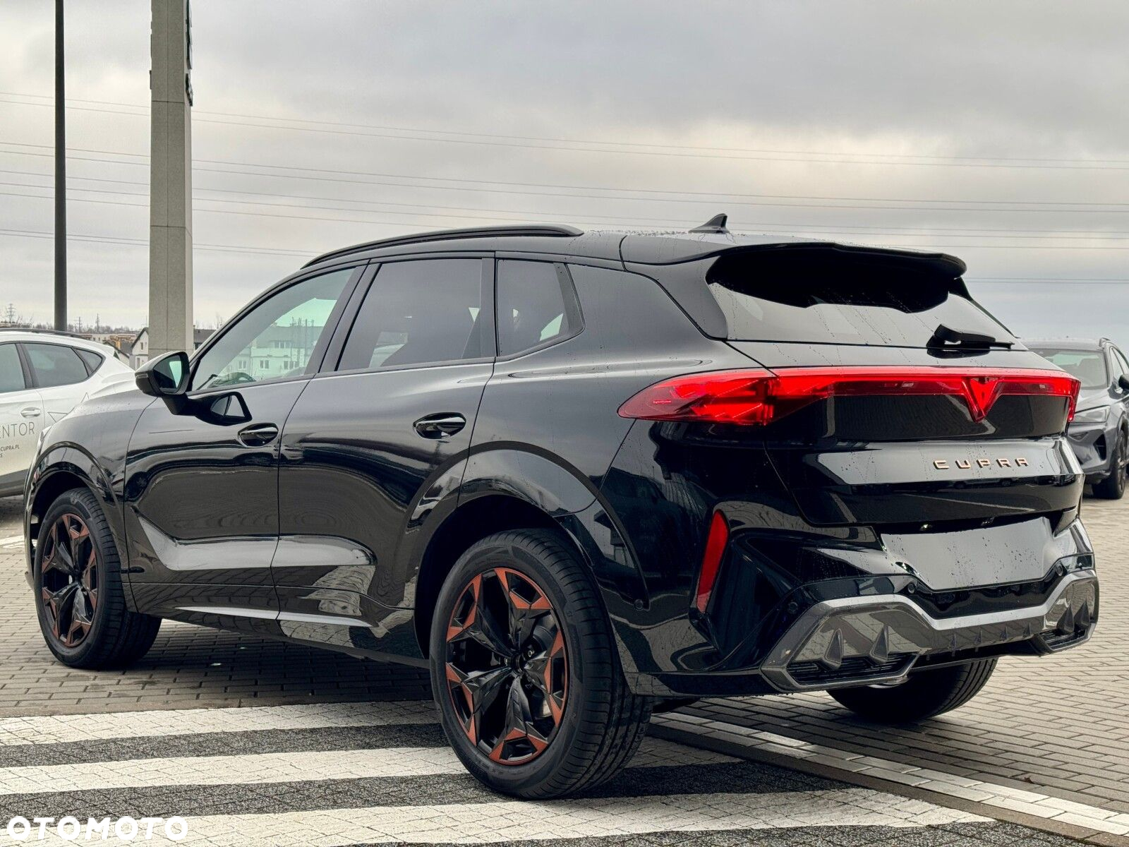 Cupra Terramar 2.0 TSI 4Drive DSG - 5