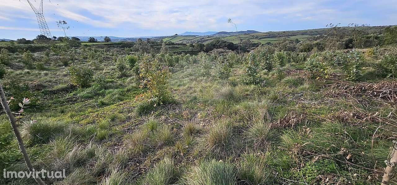 Terreno  para venda - Grande imagem: 4/15