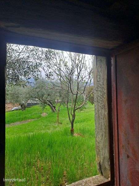 Casa de Xisto aldeia de Sarzedas para recuperar - Grande imagem: 5/8