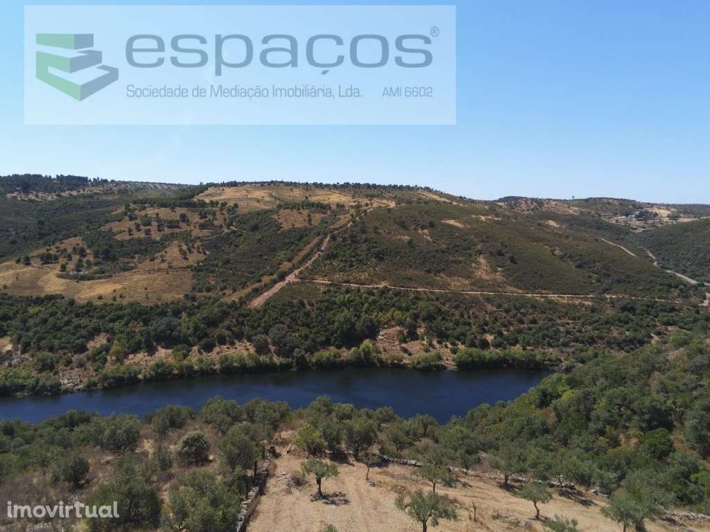 Quinta Rustica junto ao Rio Tejo - Grande imagem: 5/22