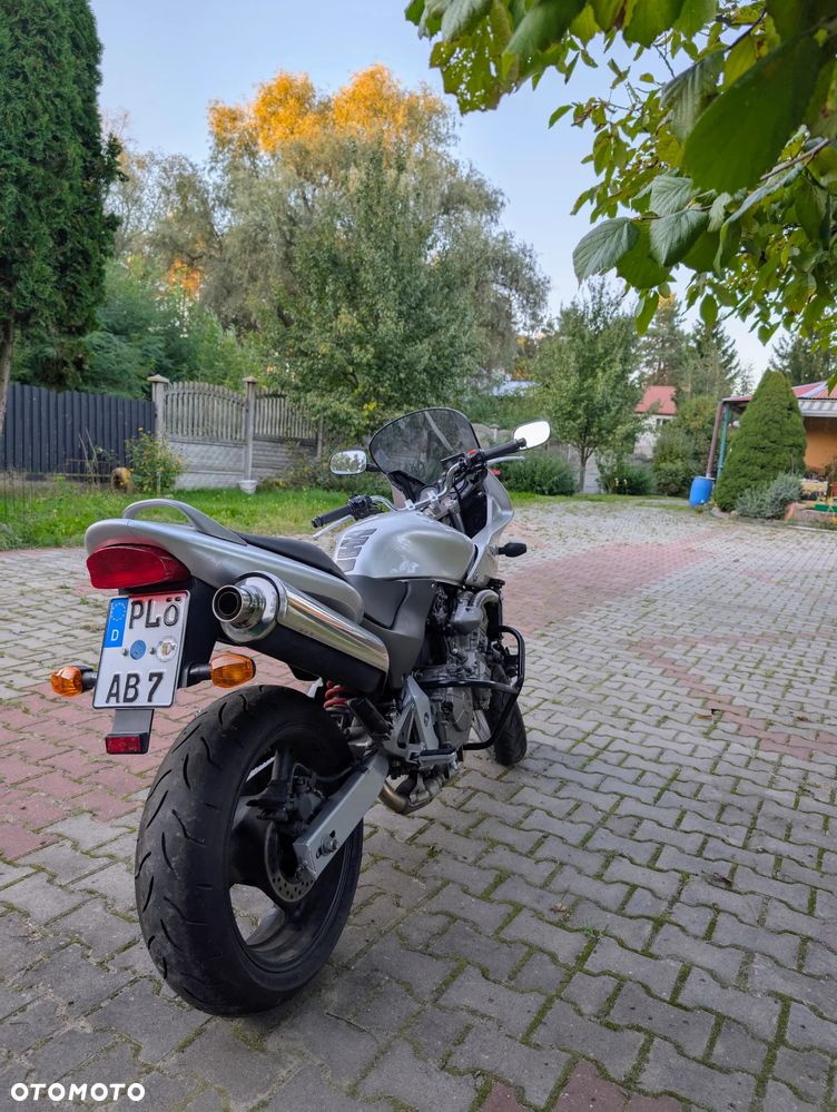 Honda Hornet - 6