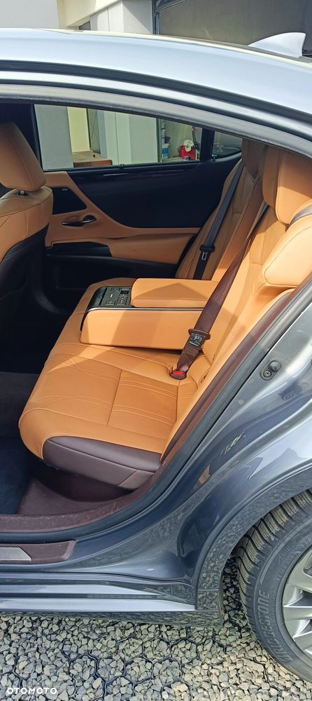 Lexus ES 300h Luxury Line - 16