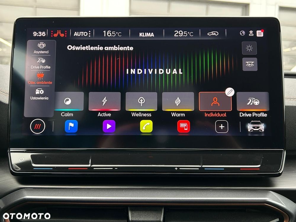 Cupra Formentor 2.0 TSI 4Drive DSG - 32