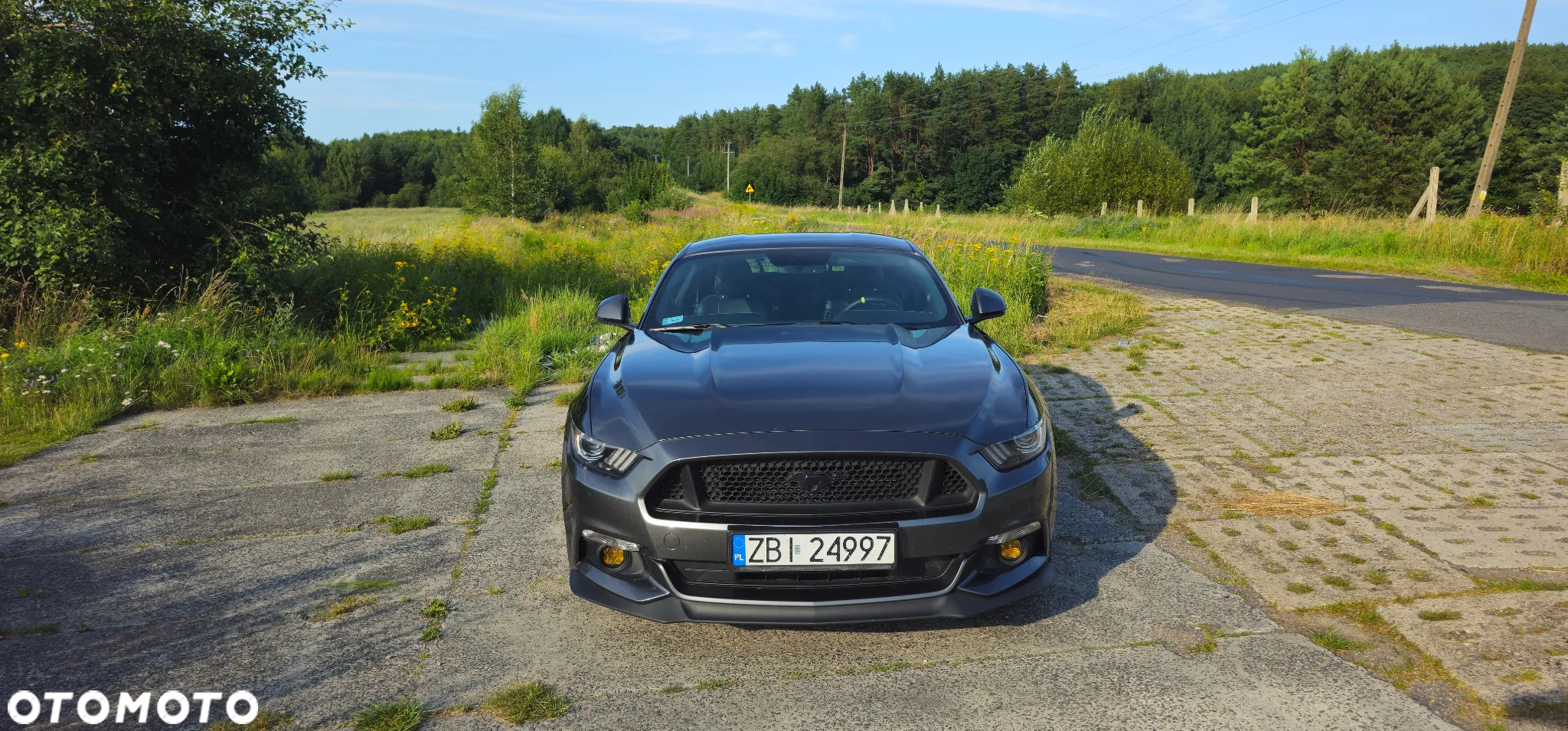 Ford Mustang 5.0 V8 GT - 2