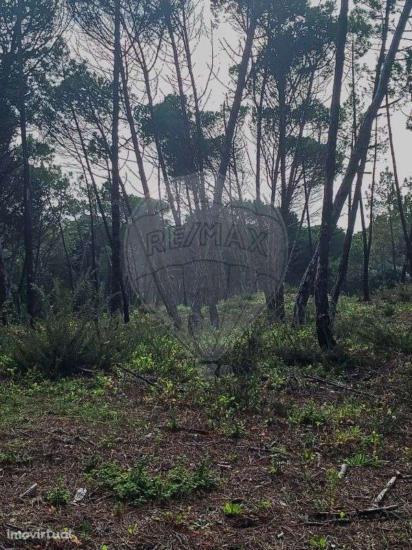 Terreno  para venda - Grande imagem: 4/12