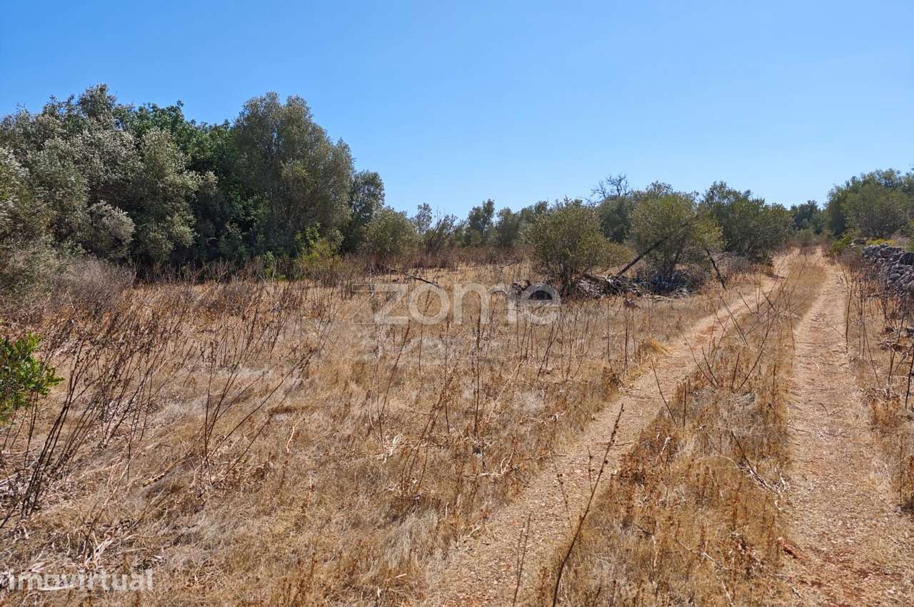 Terreno Rústico com 2.800m2 em Mouchão, Alcantarilha - Grande imagem: 2/15