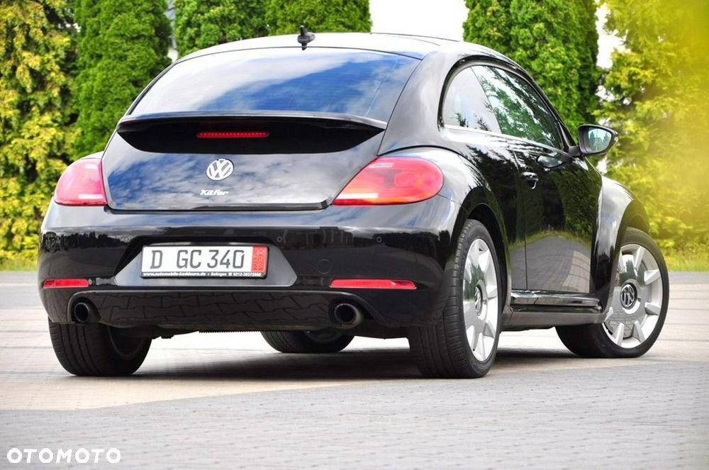 Volkswagen Beetle - 17