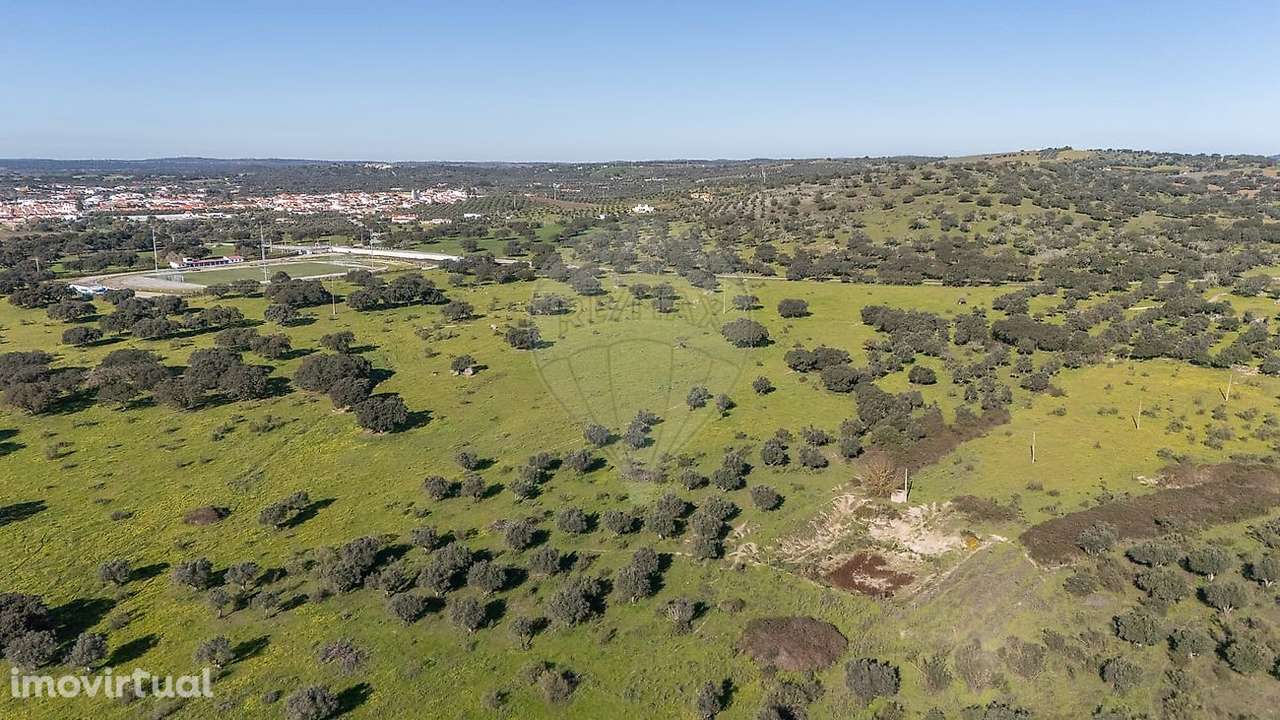 Herdade  para venda - Grande imagem: 4/32