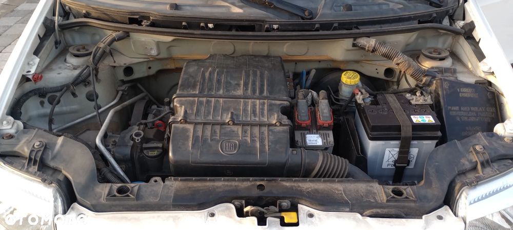 Fiat Panda 1.2 Dynamic Eco - 14