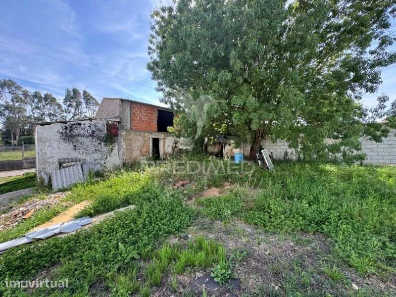 Oportunidade na Benedita | Lote com 600 m² - Grande imagem: 5/8