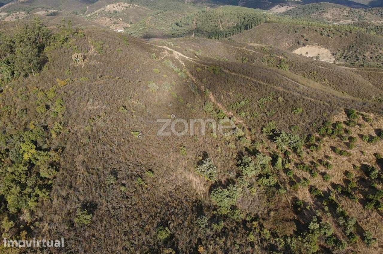 Terreno Rústico em Foz do Ribeiro com 7.920m2, S.B.Messines - Grande imagem: 5/15