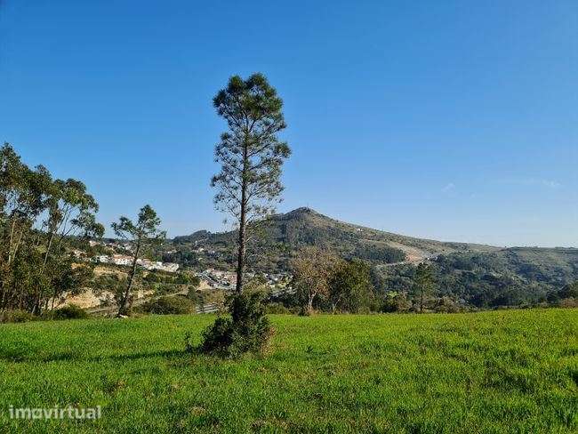 TERRENO LOUSA - LOURES - Grande imagem: 3/6