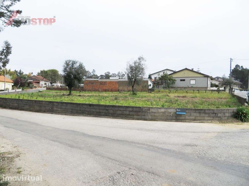 Terreno Urbanizável - Macinhata do Vouga! - Grande imagem: 4/4