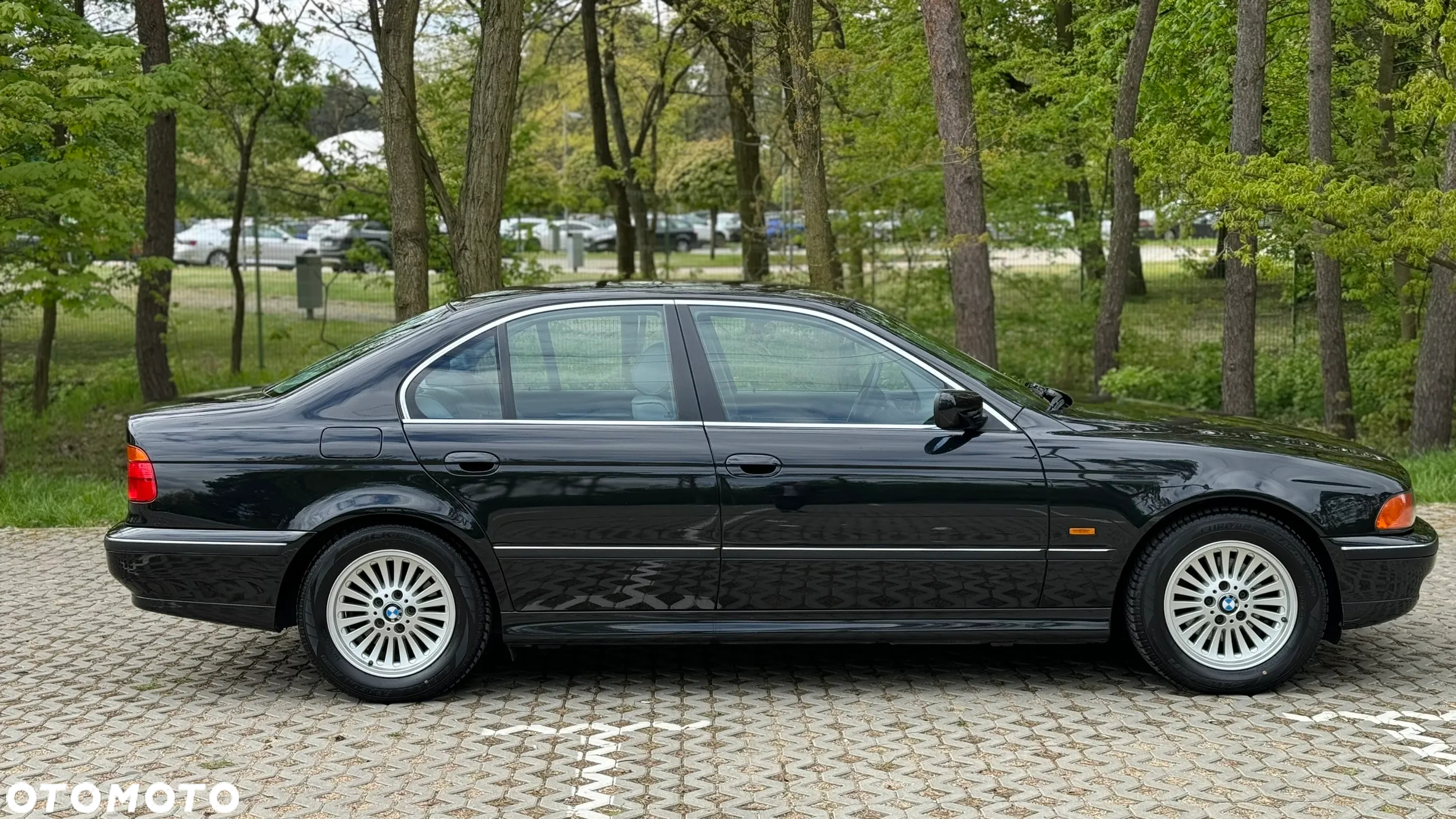 BMW Seria 5 - 3