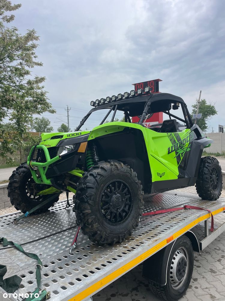 Arctic Cat Inny - 1