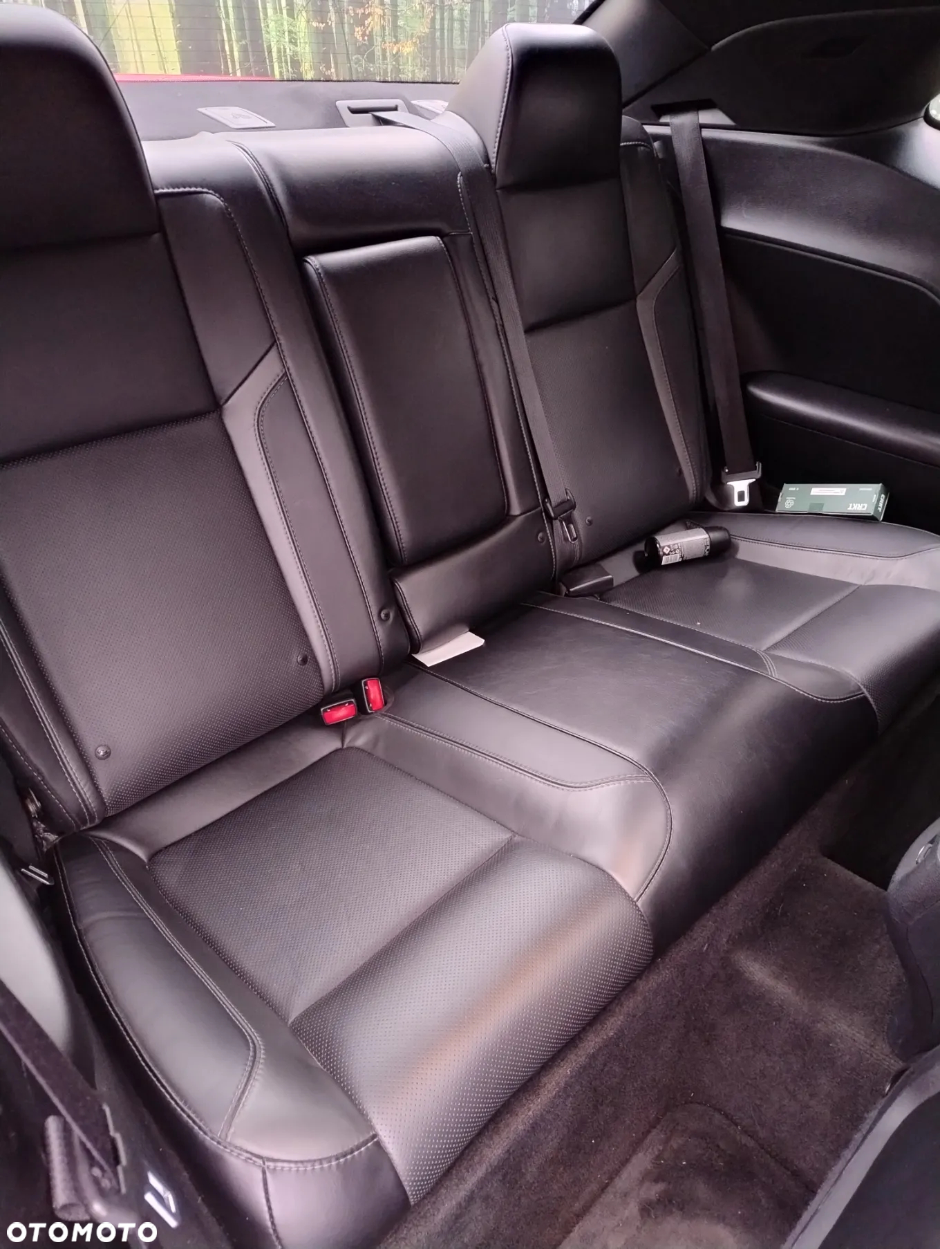 Dodge Challenger Automatik SXT Plus - 15