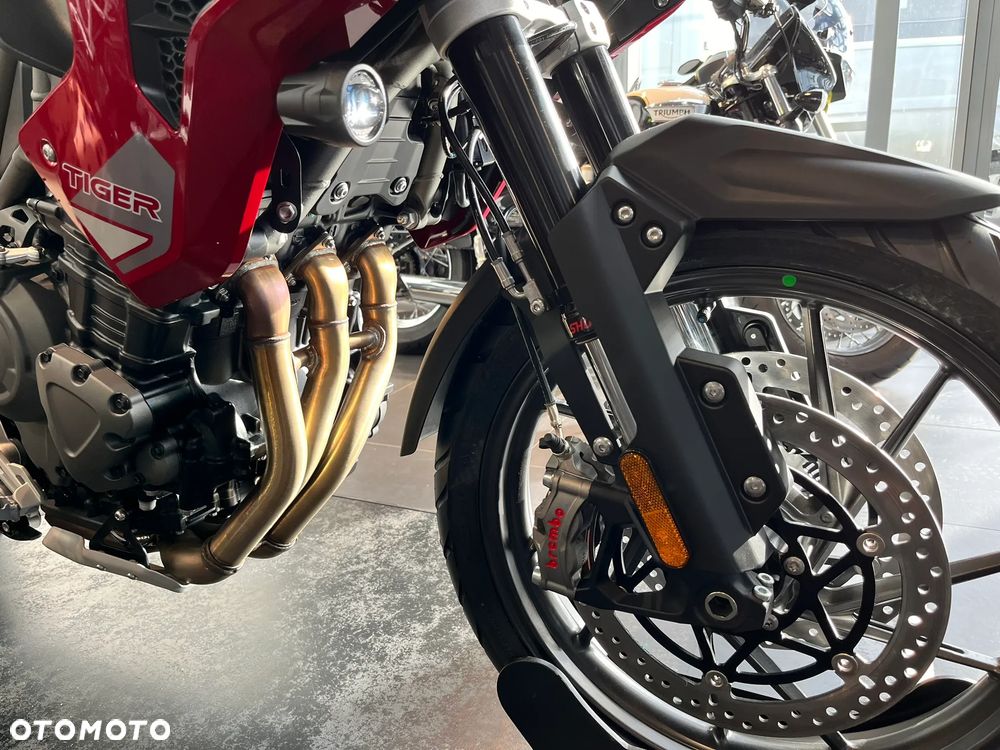 Triumph Tiger - 5