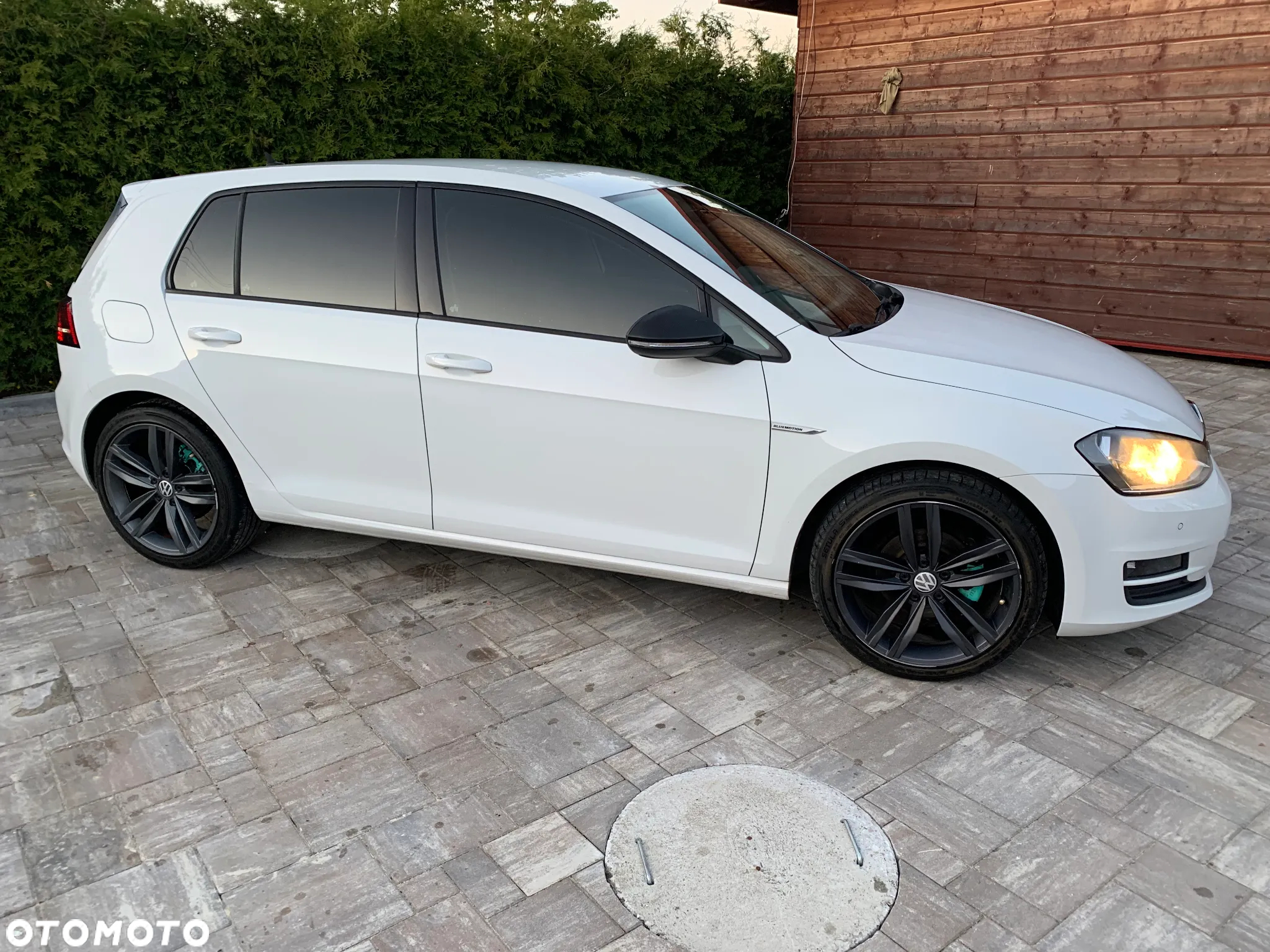 Volkswagen Golf VII 1.6 TDI BMT Comfortline - 8