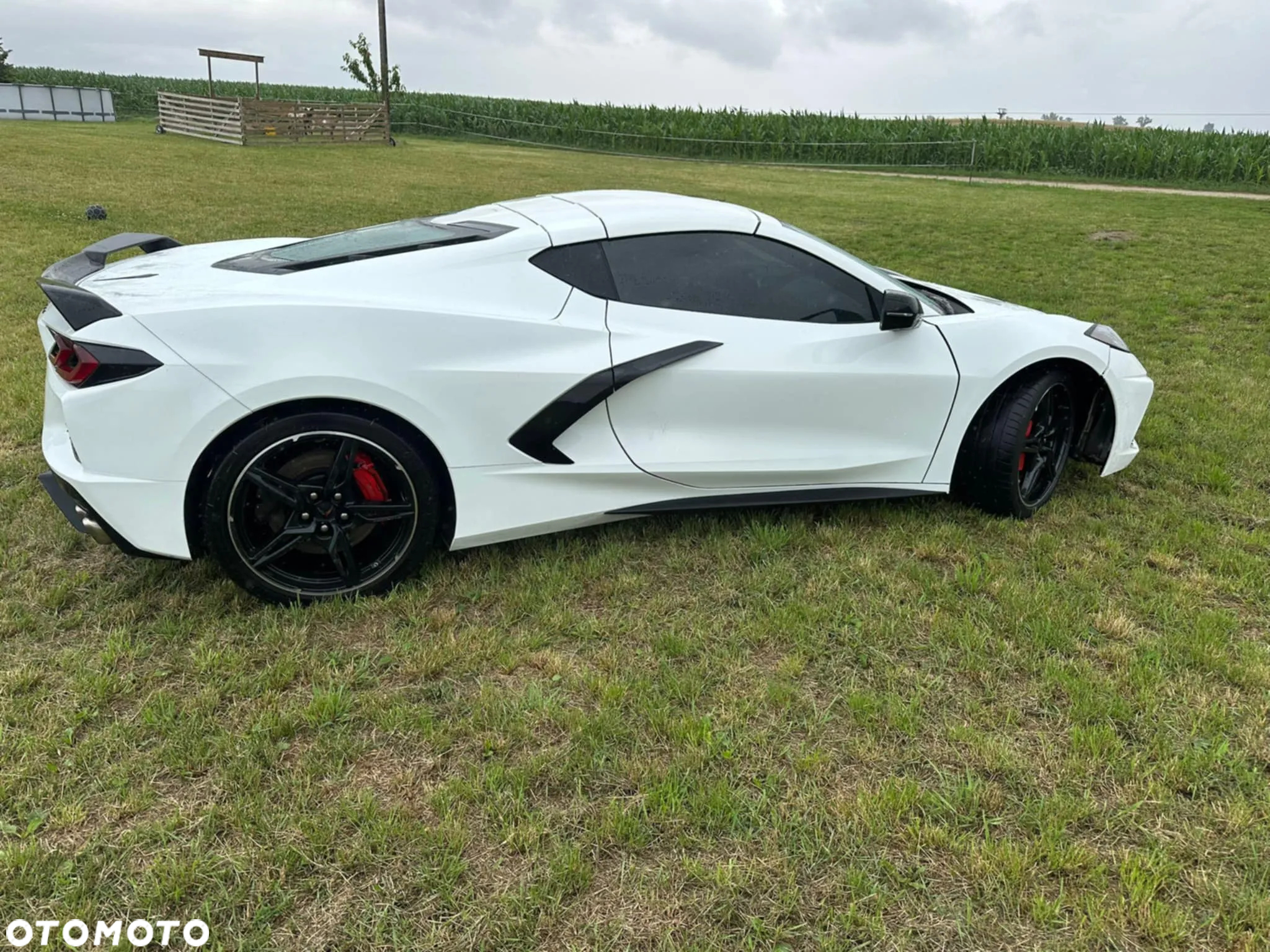 Chevrolet Corvette - 22