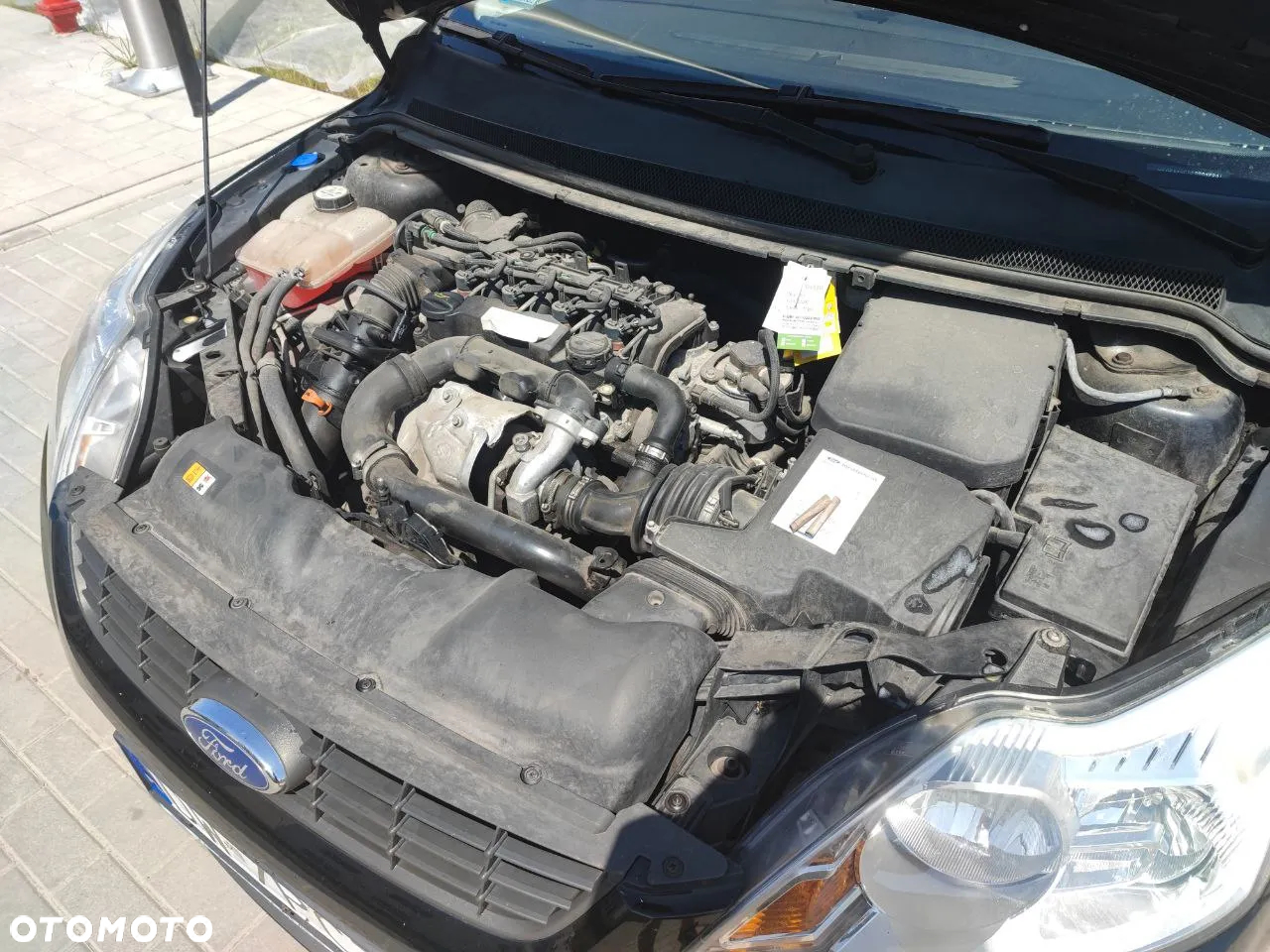 Ford Focus 1.6 TDCi cDPF Trend - 14