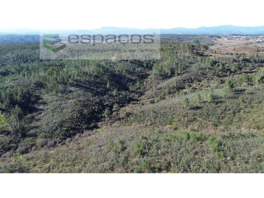 Terreno com 4,5 ha - Palvarinho - Grande imagem: 2/13
