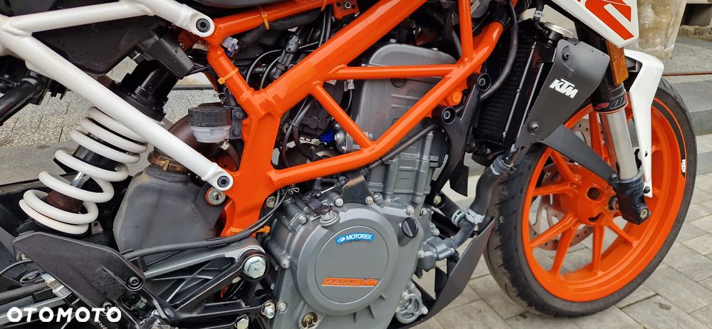 KTM Duke - 5