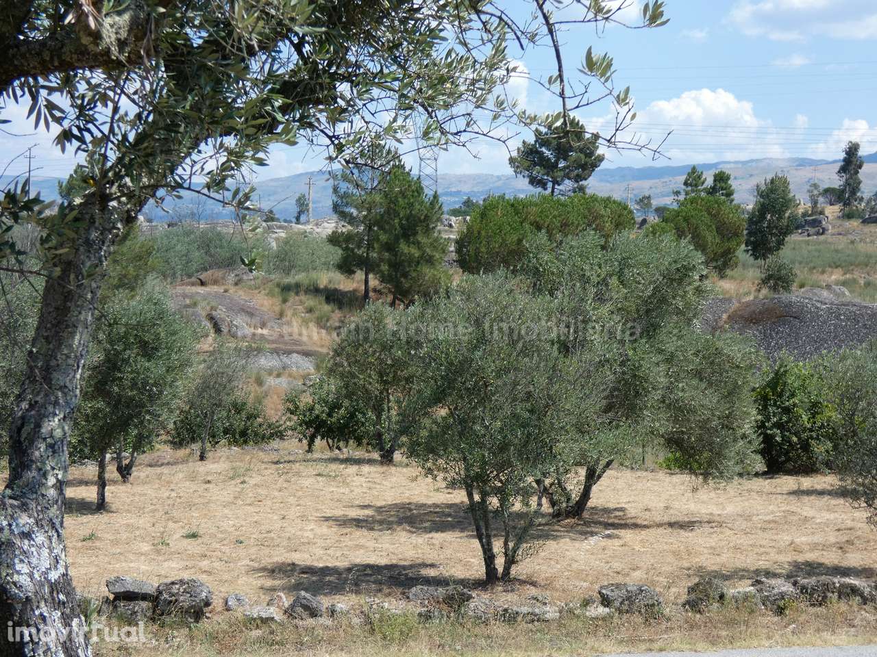 Quintinha  Venda em Arcozelo,Gouveia - Grande imagem: 2/21