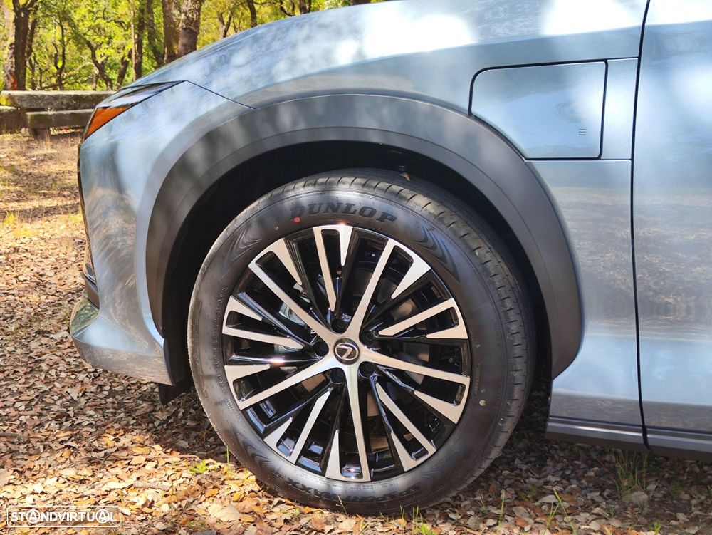 Lexus RZ 300e Premium - 19