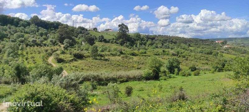 Terreno rústico em Cardosas - Arruda dos Vinhos - Grande imagem: 4/7