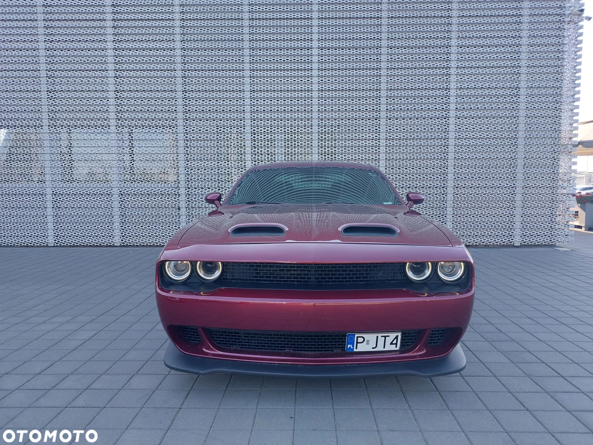 Dodge Challenger Automatik R/T Plus - 8