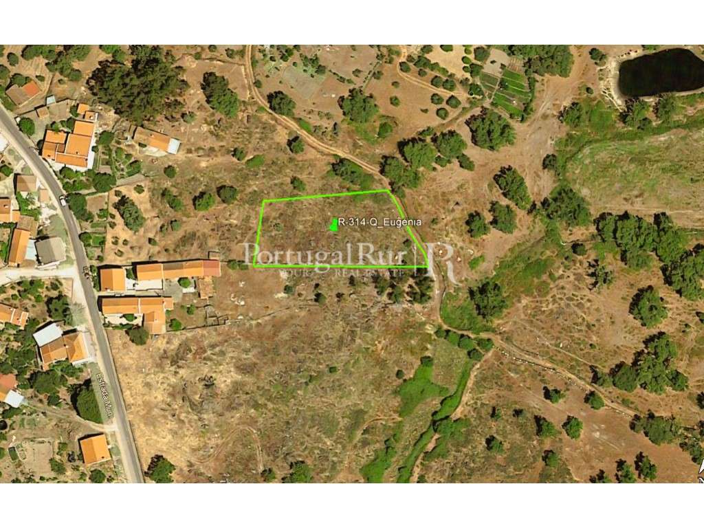 Terreno Rústico com 2.080 m² em Eugénia, Monsanto - Grande imagem: 2/14
