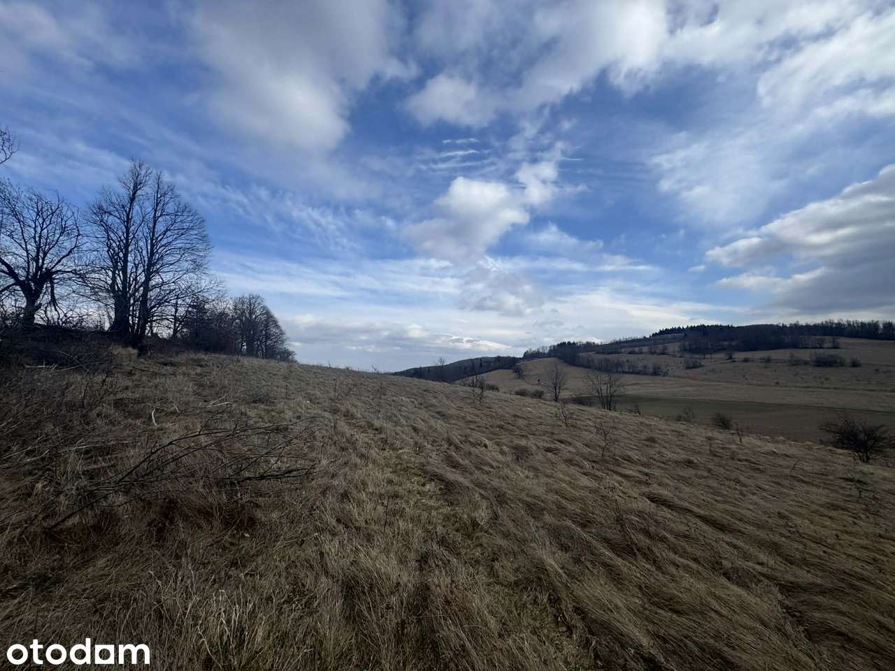 Widokowa piękna działka rolna Glinno 3000 m2 Góry Sowie - Pełny obrazek: 5/10