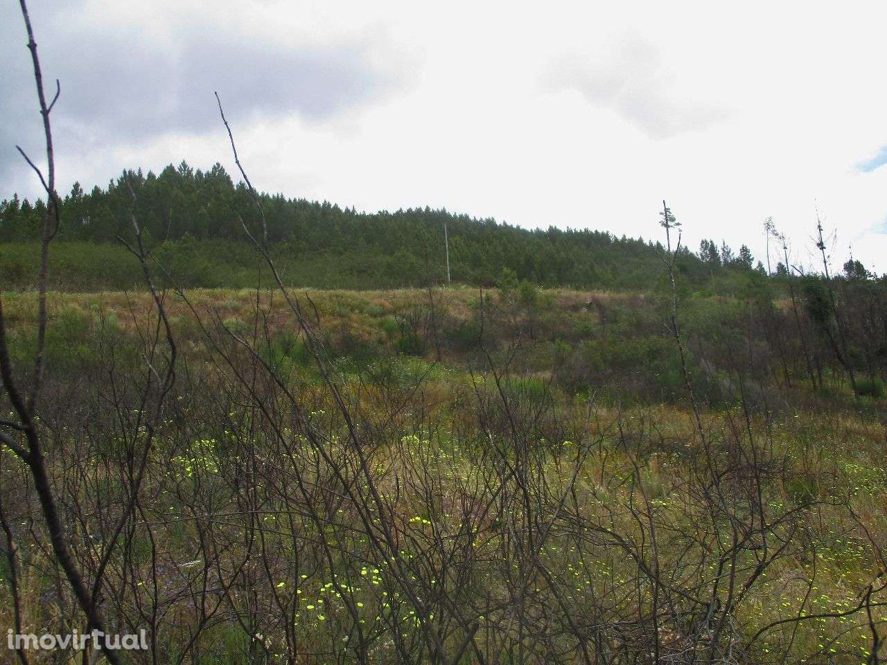 Terreno - Grande imagem: 3/7