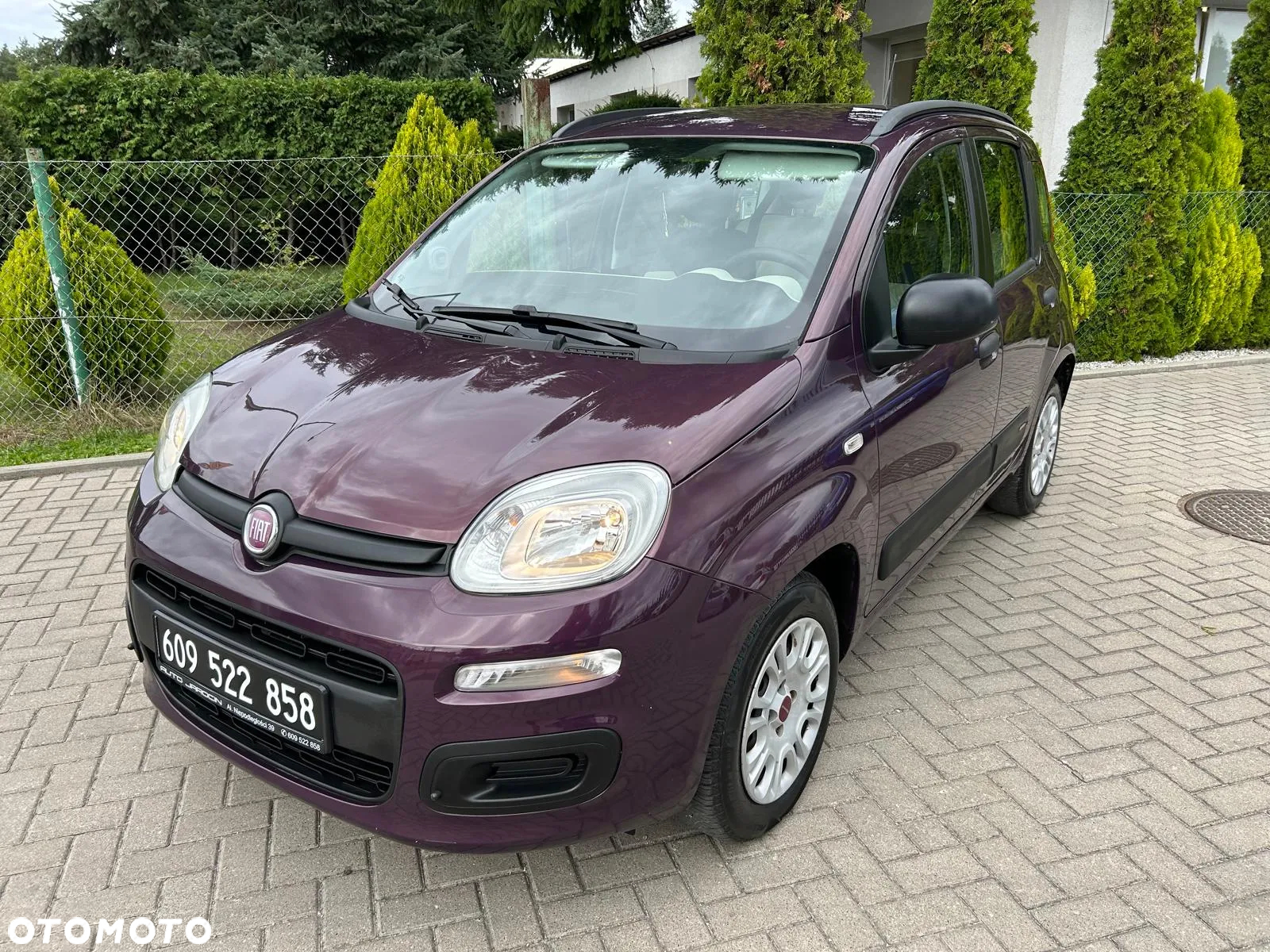Fiat Panda 1.2 Lounge - 2