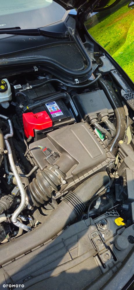 Ford Focus 1.5 EcoBlue Titanium - 25