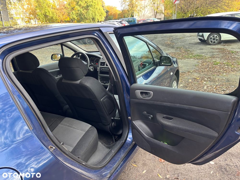 Peugeot 307 - 18