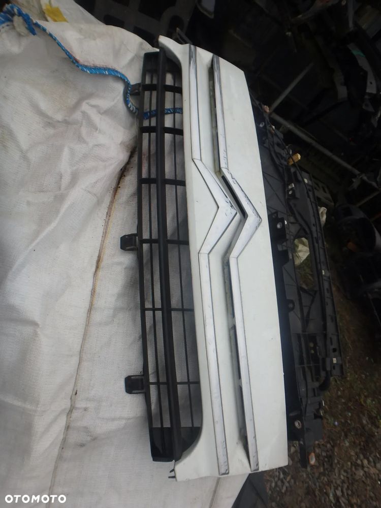 Grill Citroen Jumpy - 1